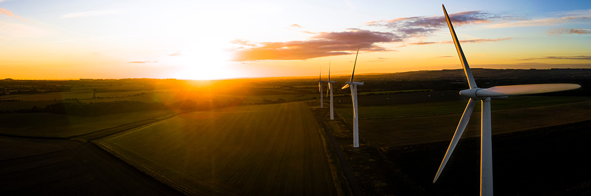 renewable energy wind turbines.jpg